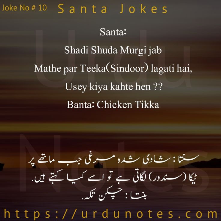Best Santa Banta Jokes in Urdu 2
