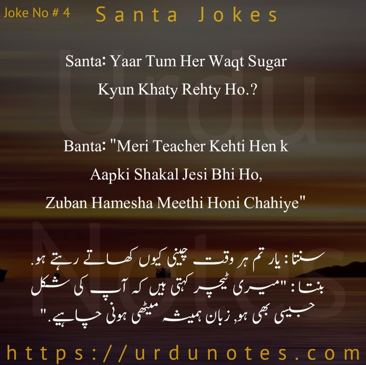 Best Santa Banta Jokes in Urdu 4