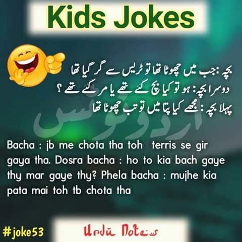 Top 10 Jokes For Kids In Urdu 6