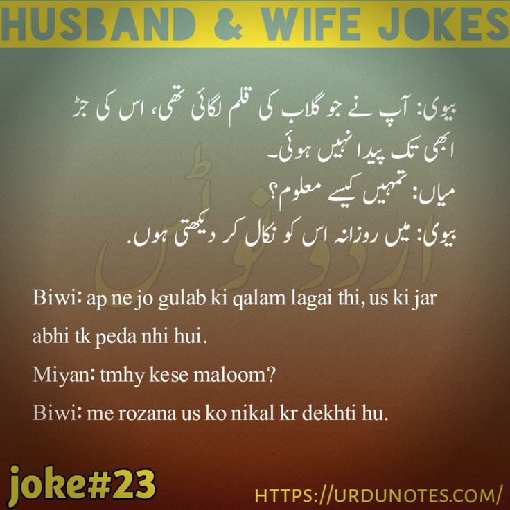 میاں بیوی کے مزاحیہ لطیفے 7