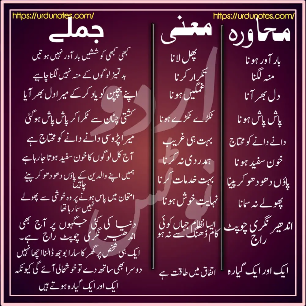 Urdu Muhavare Collection 2