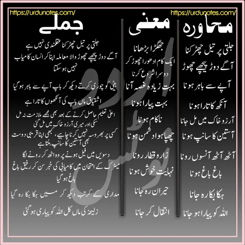 Urdu Muhavare Collection 3