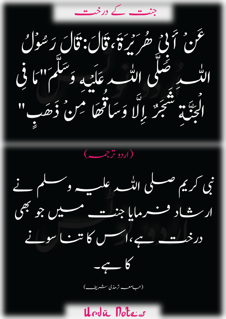 جنت کے متعلق 7 احادیث 3