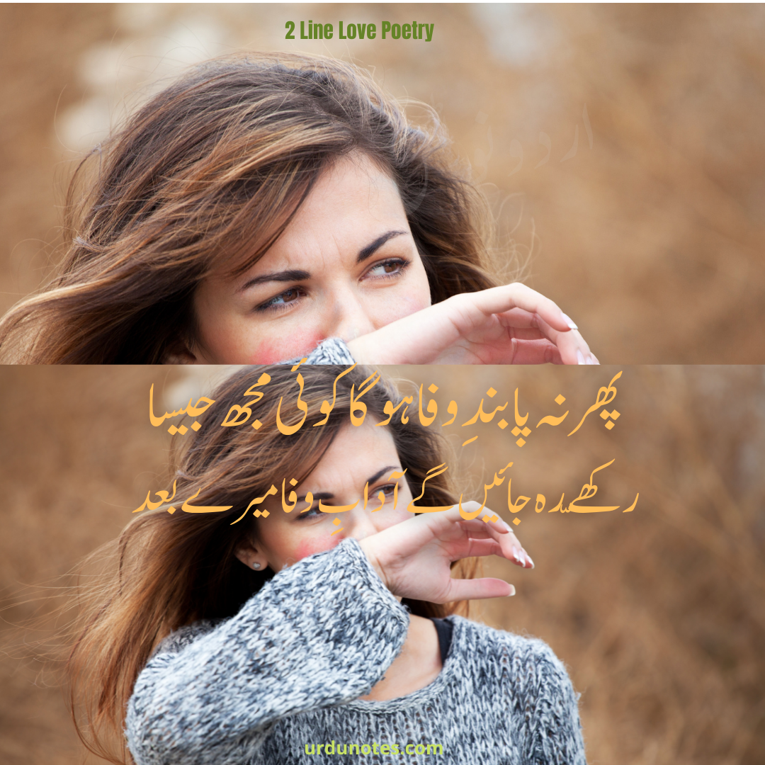 Love Shayari In Urdu | 2 Line Urdu Poetry | Urdu Notes
