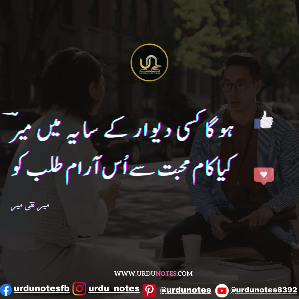 ابتدائے عشق ہے روتا ہے کیا 4